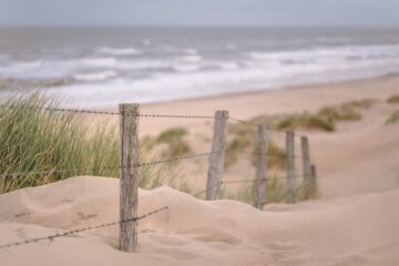 Serious Auto Accident Case in Ocean City, MD